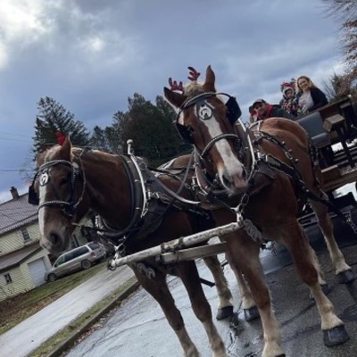 Sleigh rides for Christmas in Spartansburg