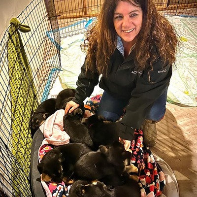 Litter of 9 puppies born to Sammi.  She was left abandoned in Texas.