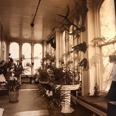 Circa early 20th century photograph of the Solarium at the Baldwin-Reynolds House Museum